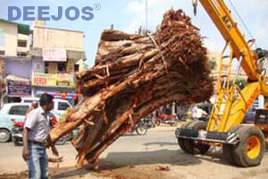 Encroachments - Deejos Engineers